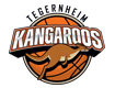 FC Tegernheim Basketball